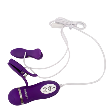 10-Frequency Vibrating Nipple Clamp Stimulator / Sex Toys for Women - EVE's SECRETS